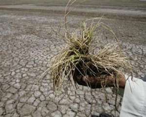Нехватка водных ресурсов приводит к засухам. Фото: http://www.unmultimedia.org
