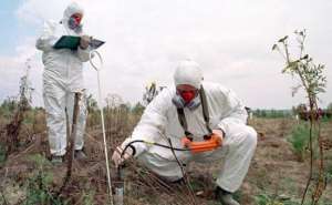 Загрязнение почвы пестицидами. Фото: http://www.caringheartsofpeedee.com