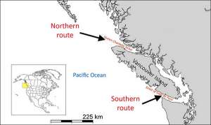 Место впадения реки Фрейзер в Тихий океан и остров Ванкувер, который лососям приходится огибать, чтобы войти в реку (рисунок Oregon State University).