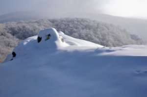Гринпис Росси: на территории заказника «Хехцирский» может появиться горнолыжный курорт. Фото с сайта ЭХО-ДВ