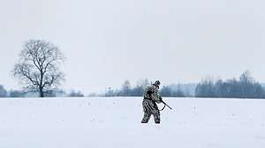 Беларусь будет постепенно гуманизировать правила охоты на своей территории. Фото: БЕЛТА