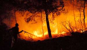 В Чили лесные пожары угрожают второму по величине городу страны. Фото EPA с сайта &quot;Голос России&quot;