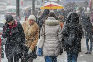 Снежный циклон в Приморье. Фото: http://news-vlad.ru/