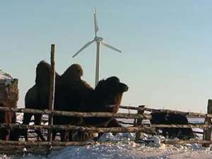 Сила ветра и солнца: фермер перевел на альтернативную энергию целый регион. Фото: Вести.Ru