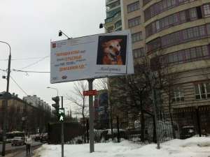 &quot;Хочу домой&quot;: мечты приютских собак написали на билбордах. Фото: Вести.Ru