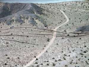 Трещины вдоль пути землетрясения в мексиканском штате Нижняя Калифорния магнитудой 7,2, случившегося в 2010 году (фото John Fletcher, CICESE).