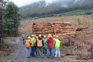 Обмен опытом по соблюдению требований FSC сертификации при ведении лесозаготовок. Фото: WWF 