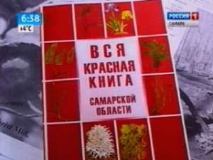 Красная книга Самарской области будет пересматриваться. Фото: Вести.Ru
