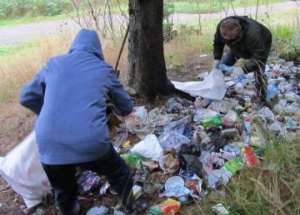 Безработным чехам предлагают заняться уборкой лесов. Фото: http://greenpressa.ru