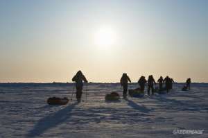 Активисты Гринпис встретятся с политиками на Северном полюсе и ответят Чилингарову. Фото: Greenpeace