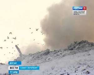 Вопрос о закрытии мусорного полигона на Волхонском шоссе примет суд. Фото: Вести.Ru