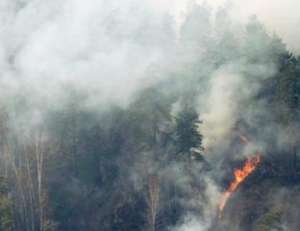 На Алтае ликвидировали второй в этом сезоне лесной пожар. Фото: http://greenpressa.ru