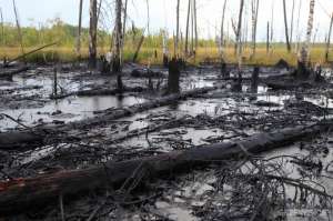 «Роснефть» претендует на рекорд Гиннеса по разливам нефти. Фото: Greenpeace