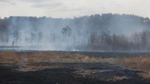 Лесные пожары в Забайкалье. Фото: http://obj.altapress.ru