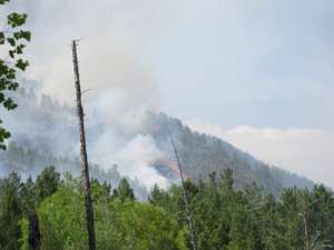  В Саяно-Шушенском заповеднике локализован природный пожар площадью более 600 га. Фото: пресс-служба заповедника «Саяно-Шушенский»