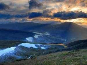 Алтайский край и Казахстан договорились о трансграничной защите лесов. Фото: http://greenpressa.ru