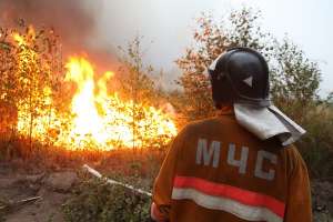 Борьба с лесными пожарами в России. Фото: http://azerros.ru