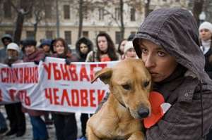 Митинг против догхантеров. Фото: http://animal.ru
