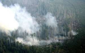 В лесах Сибири локализованы пять крупных очагов огня. Фото: http://lesvesti.ru