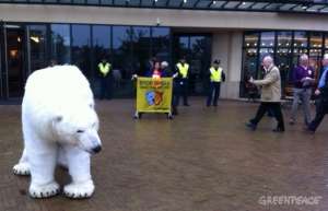 Медведица Паула на собрании акционеров Shell. Фото: Greenpeace