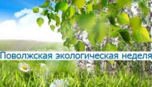 В Ульяновской области пройдет III Поволжская экологическая неделя. Фото: http://greenpressa.ru