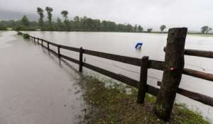 173 миллиона евро потеряли из-за наводнений фермеры Германии. Фото EPA с сайта &quot;Голос России&quot;