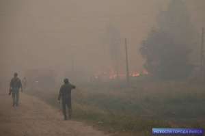 Нижегородская область: сильный ветер раздувает лесной пожар в Выксунском районе. Фото: yadrin.com