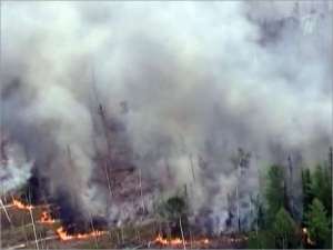 Более тысячи гектаров леса охвачено пожарами в Красноярском крае. Фото: 1tv.ru