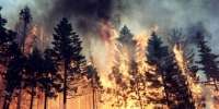 В Бурятии горит Джергинский заповедник. Фото: bezformata.ru
