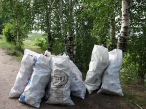 150 мешков мусора собрали в Онеге школьники. Фото: dvinainform.ru