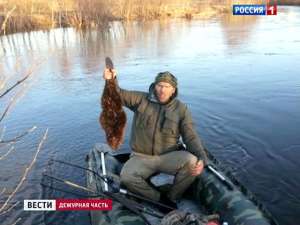 Зоозащитники требуют наказать Валуева за бобра. Фото: Вести.Ru