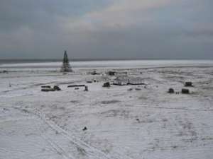 Остров Белый ждёт экологический десант. Фото: Вести.Ru