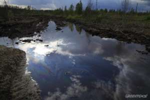 Нефть и болота. Фото: Greenpeace