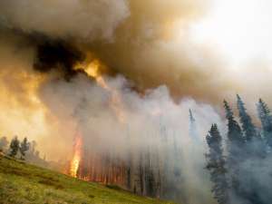 Лесной пожар в Айдахо. Фото: http://www.mn.ru