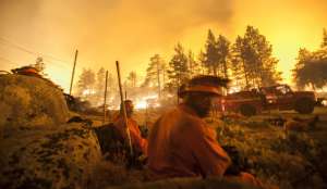 Лесные пожары в США. Фото EPA с сайта &quot;Голос России&quot;