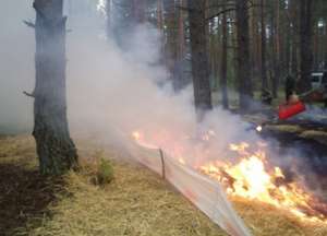 В России испытывают новый способ тушения лесных пожаров. Фото: http://lesvesti.ru