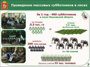 Из лесов Подмосковья вынесли «40 слонов» мусора. Фото: http://lesvesti.ru