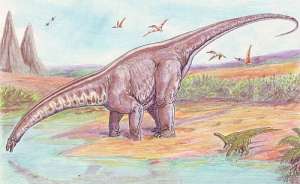 Апатозавр на водопое (иллюстрация Wikimedia Commons).