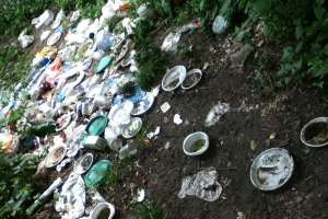 В Батайске мусороуборочная компания нанесла экологии ущерб на 386 млн рублей. Фото: http://www.yuga.ru