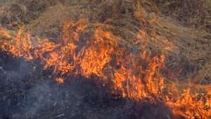 Степные пожары. Фото: http://www.newskaz.ru/