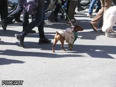 В Берлине запретят выгул животных без поводка. Фото: rosbalt.ru