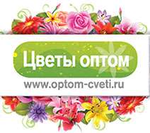 Логотип компании Цветы оптом