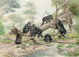 Древние обезьяны. Фото: http://antropogenez.ru/