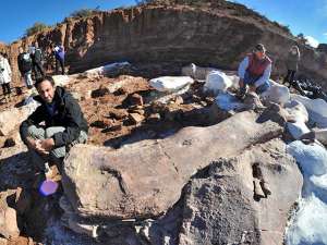 Останки ящера обнаружил местный фермер примерно в 250 километрах к западу от города Трелью в Аргентине. Фото: Reuters