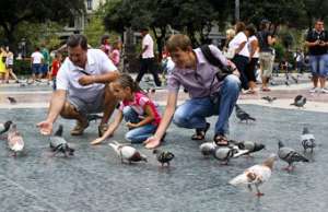 Кормление голубей. Фото: http://ont.by/
