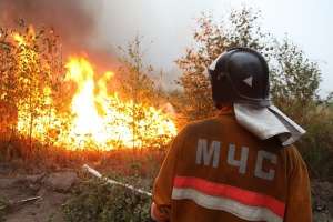 Лесные пожары. Фото: http://www.tomsk.ru
