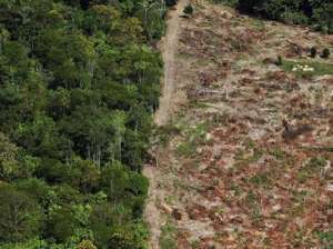 Вырубки тропических лесов. Фото: http://www.conexaojornalismo.com.br