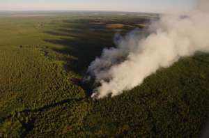 Лесные пожары. Фото: http://lesvesti.ru