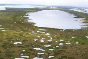 Термокарстовые озера в Арктике Фото: Katey Walter Anthony/ UAF
