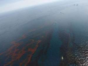 Разлив нефти в Мексиканском заливе. Фото: http://www.topnews.ru/